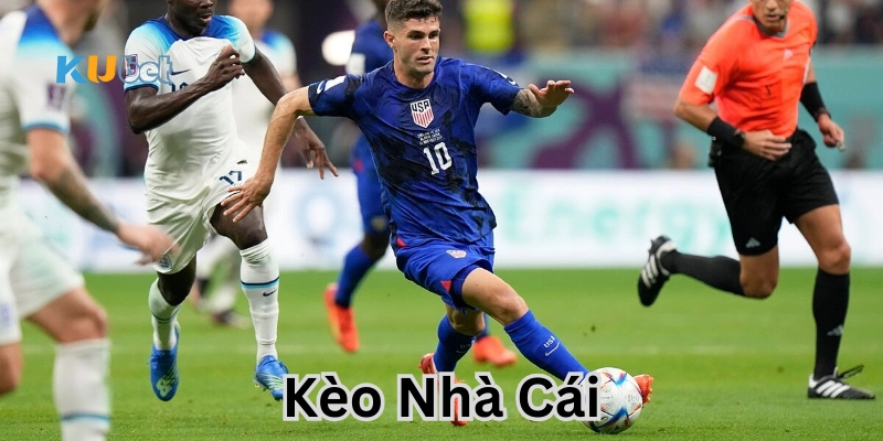 Những loại bẫy thường gặp